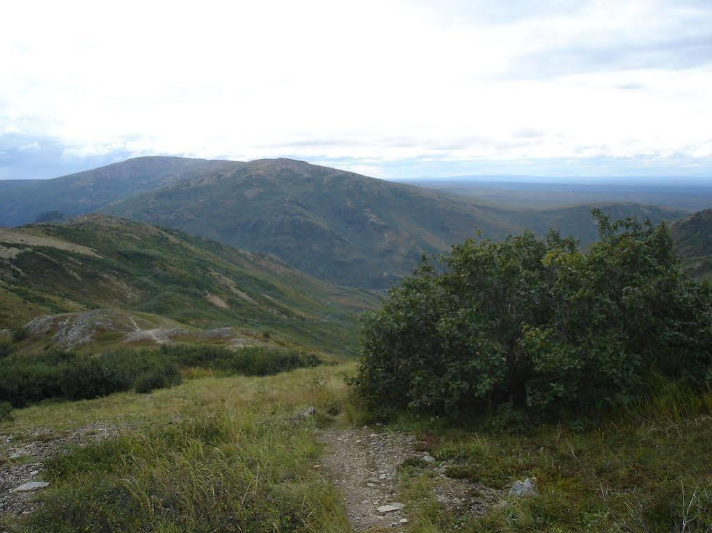 Denali Backcountry Lodge Ngoại thất bức ảnh